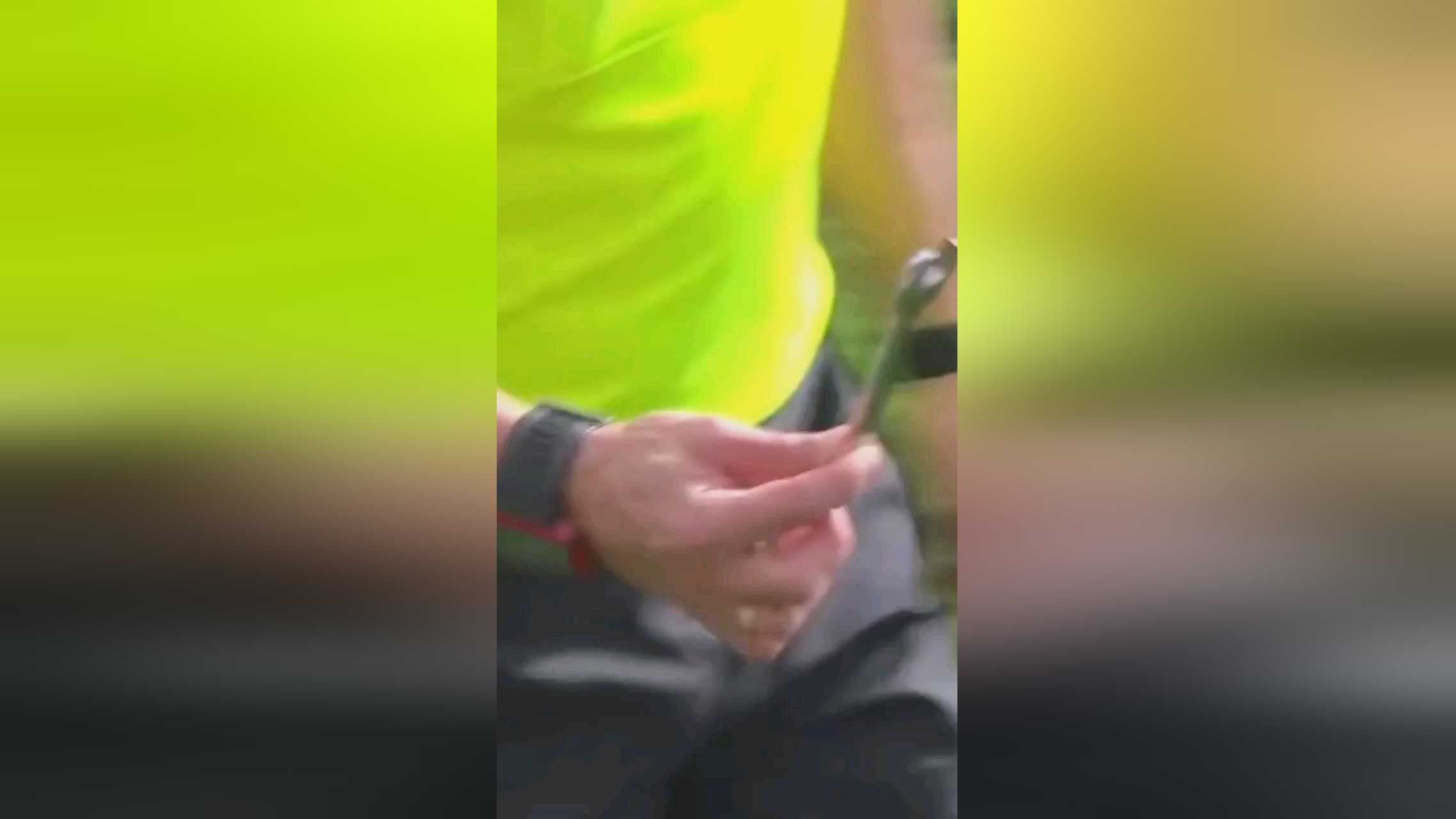 优势全面
